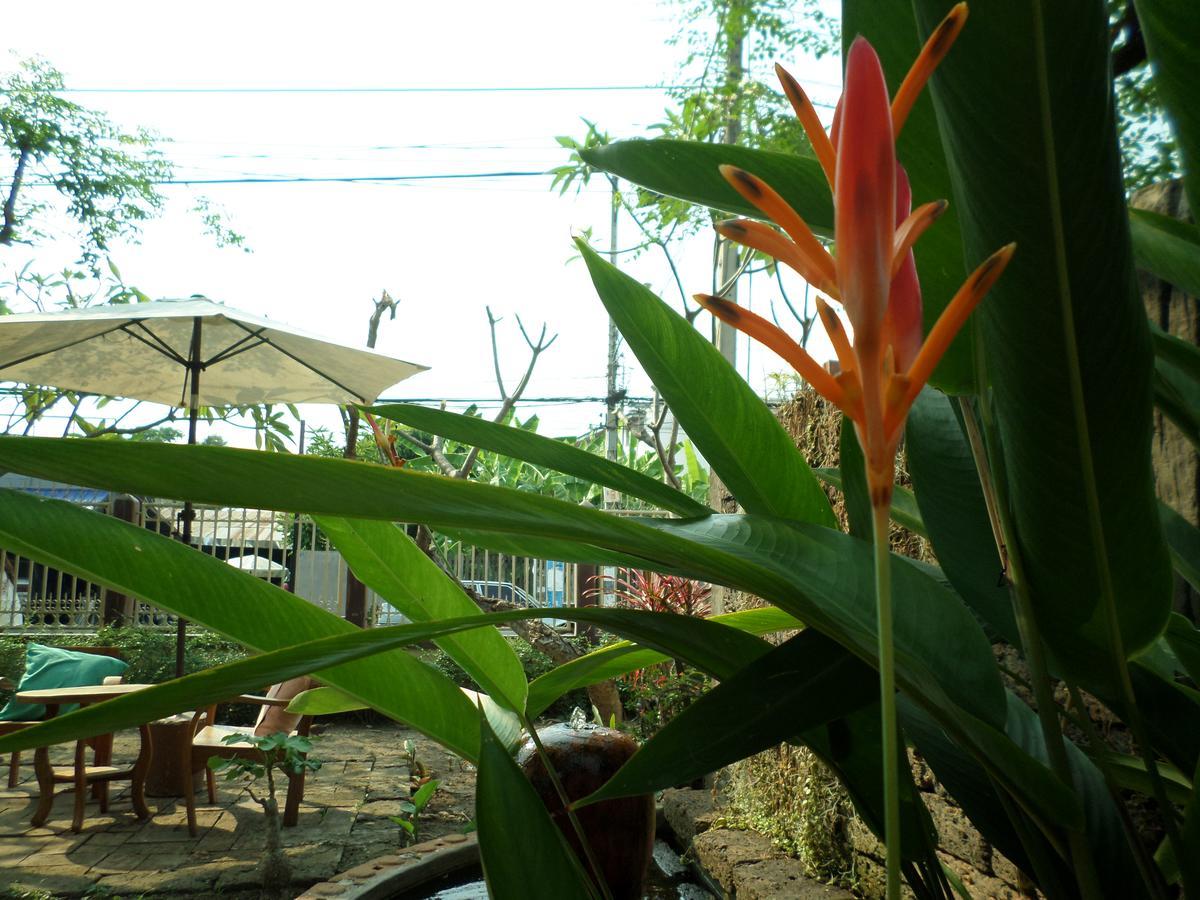 Baanwealaa Guesthouse (Adults Only) Чиангмай Экстерьер фото